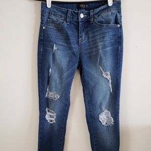 Judy Blue Skinny jeans